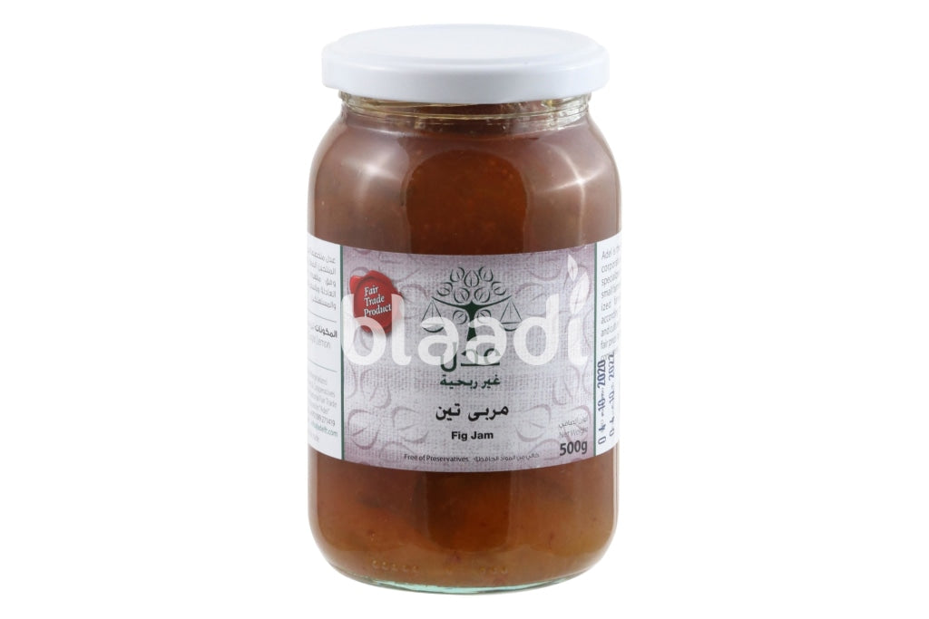 Fig Jam 500