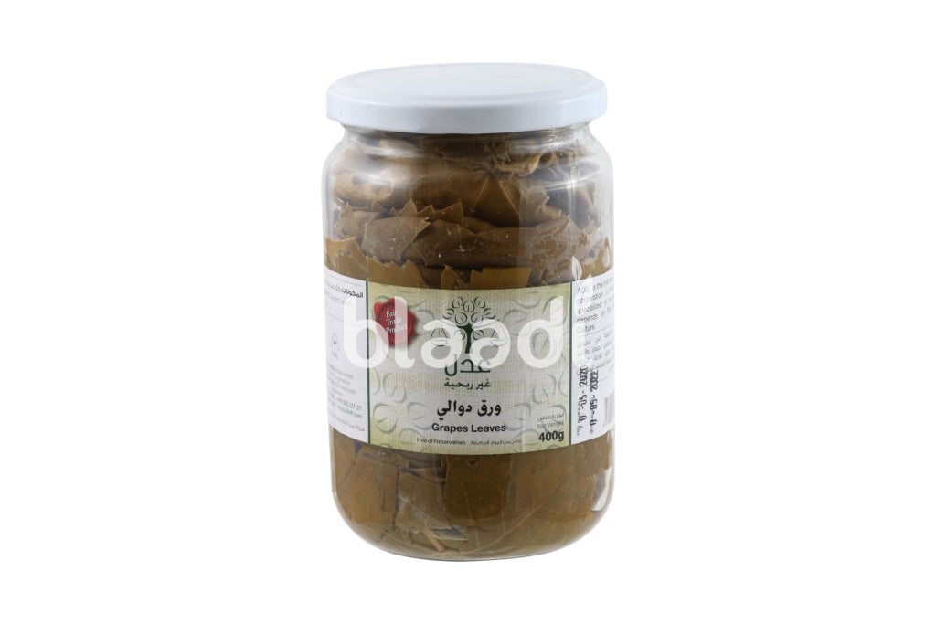 Grape Leaves 400 Grm