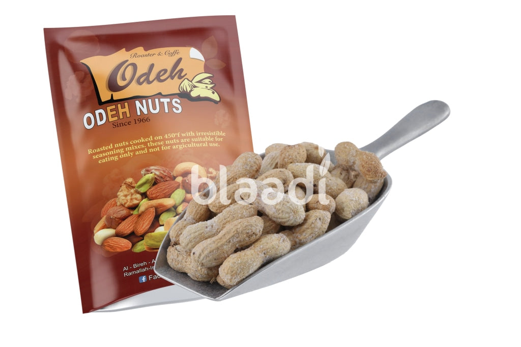 Roasted Unpeeled Penuts Nuts